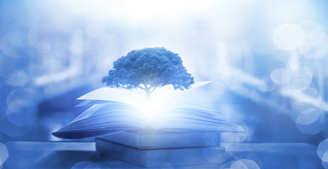 顺丰快递寄笔记本电脑是否安全