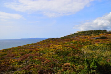 现在流行网络语言有哪些