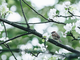 如何查联想笔记本电脑的配置参数