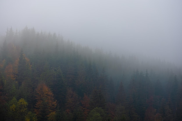 华硕笔记本电脑如何拆