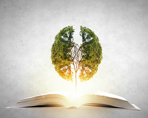 惠普笔记本cq43怎么拆清理风扇