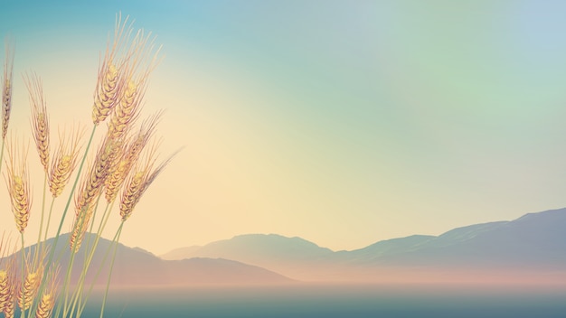 刀客笔记本k1-g4支持16g内存吗