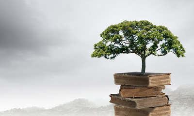 刀客笔记本k1-g4支持16g内存吗