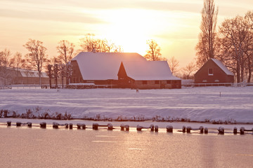 现在流行网络语言有哪些
